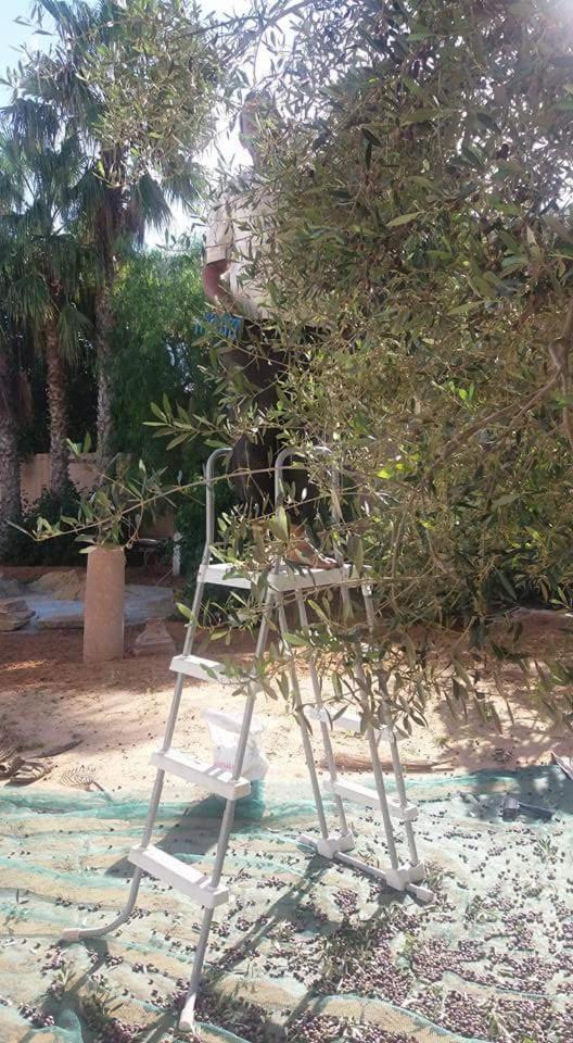 Maison D'Hotes Dar Salma Sfax Bagian luar foto